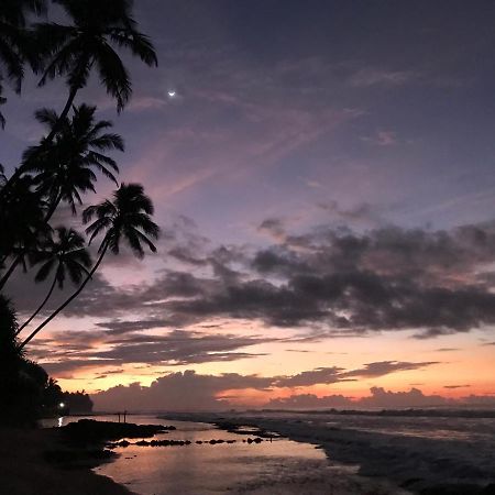 Seachange 陶尔佩 外观 照片